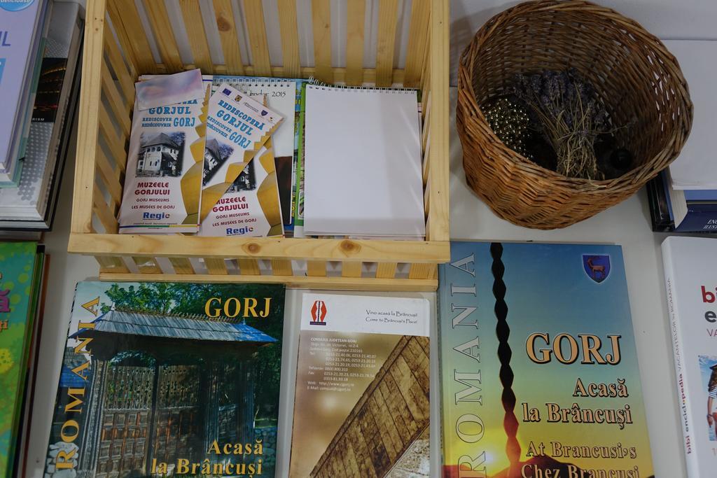 Casa File De Poveste Târgu Jiu Zewnętrze zdjęcie