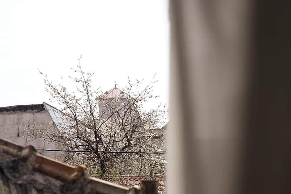 Casa File De Poveste Târgu Jiu Zewnętrze zdjęcie