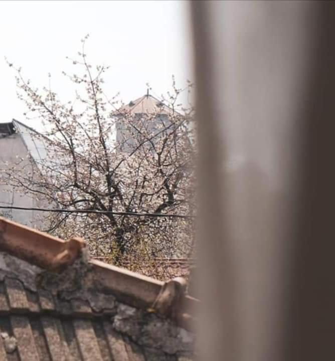 Casa File De Poveste Târgu Jiu Zewnętrze zdjęcie