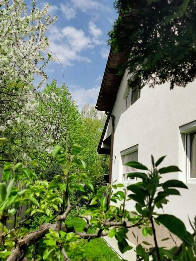 Casa File De Poveste Târgu Jiu Zewnętrze zdjęcie